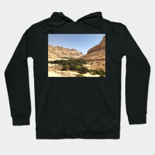 Oasis at Oman Hoodie